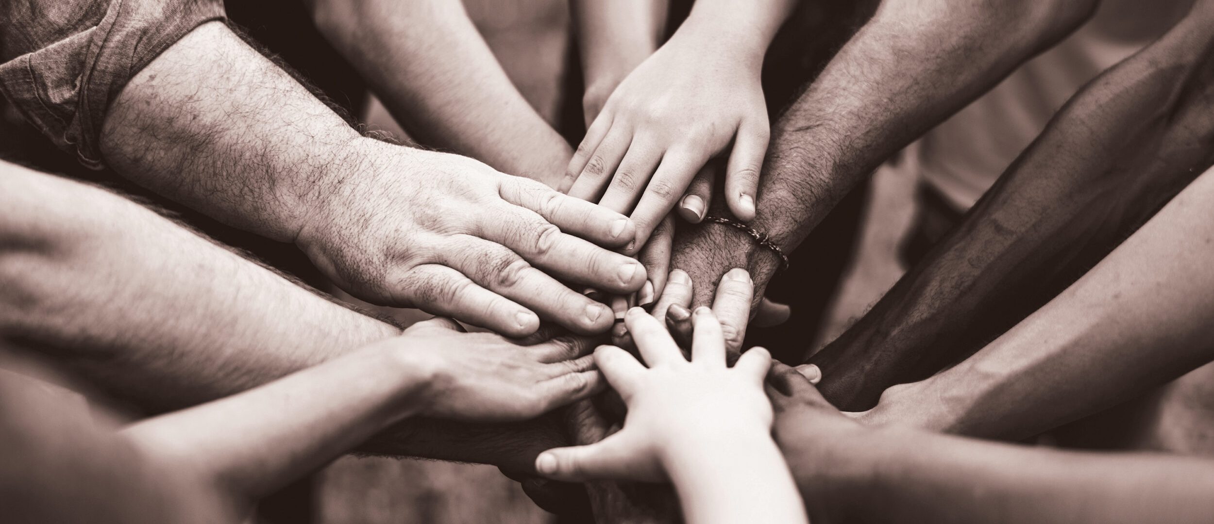 Home Page Survivor Advocacy Center